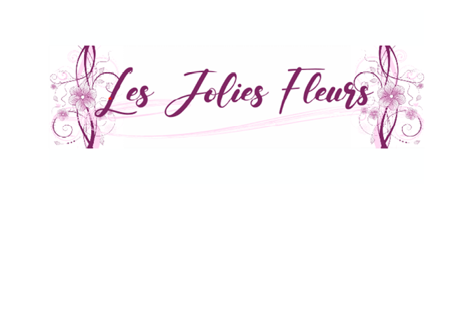 Lire la suite à propos de l’article Les Jolies Fleurs