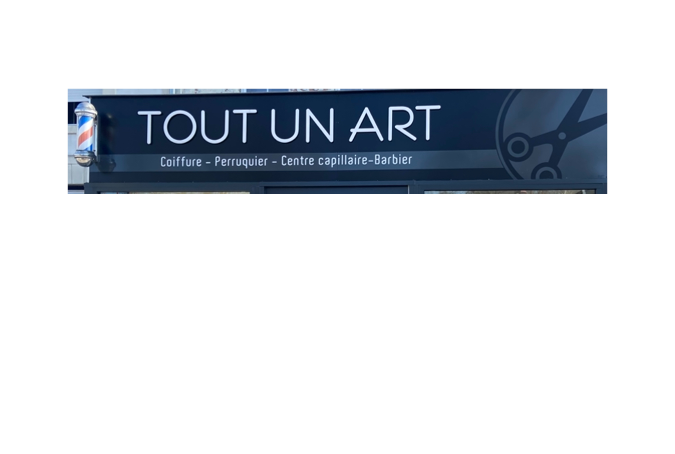 Tout Un Art 